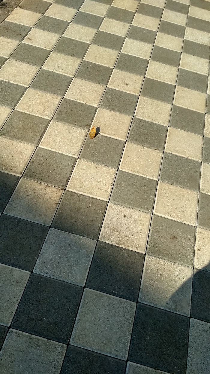     , , , , , , , 