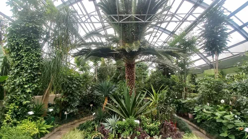 ���� �� ������ ����