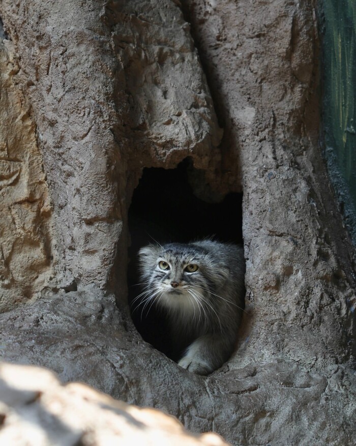 фото из соцсетей зоопарка