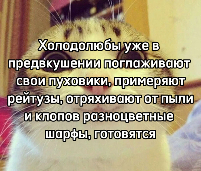  ,   , ,  , Telegram (), 