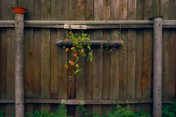   , Fujifilm