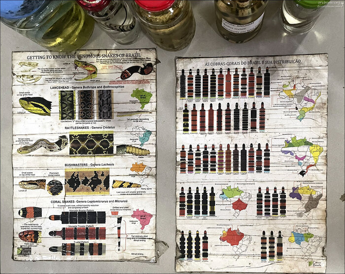 ���� �������� ���� � ��������