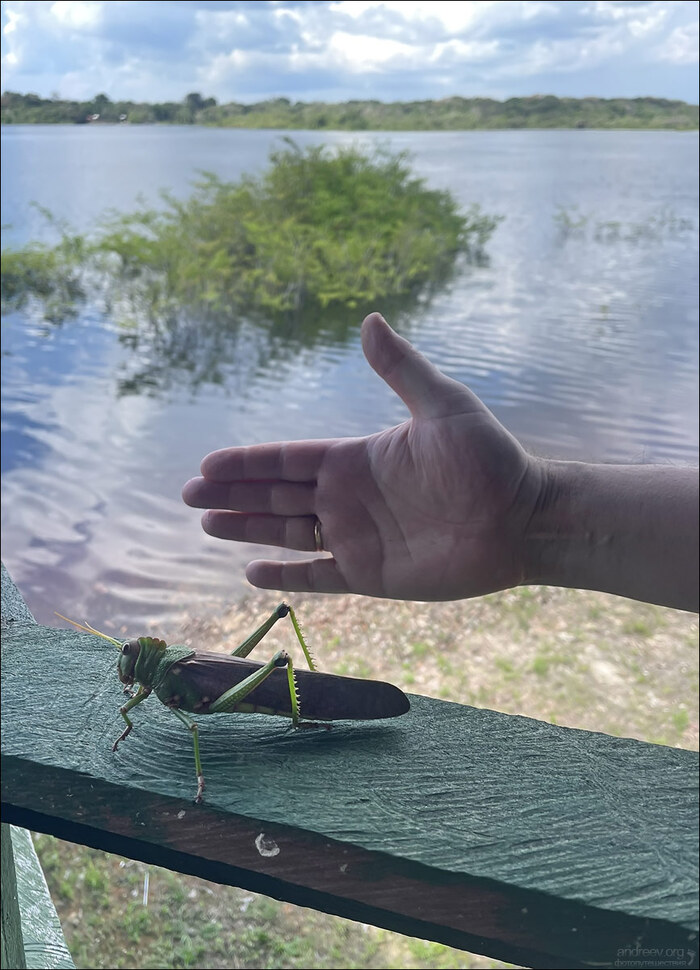 ����������� �� ���