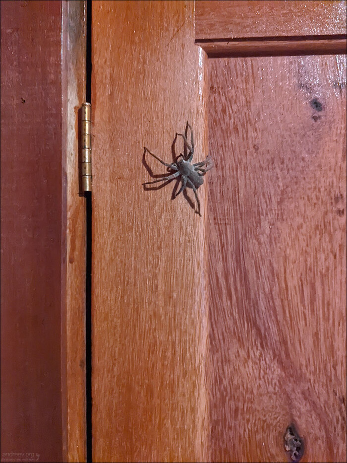 ���� �� �������. �������� ������ � ������� �����������