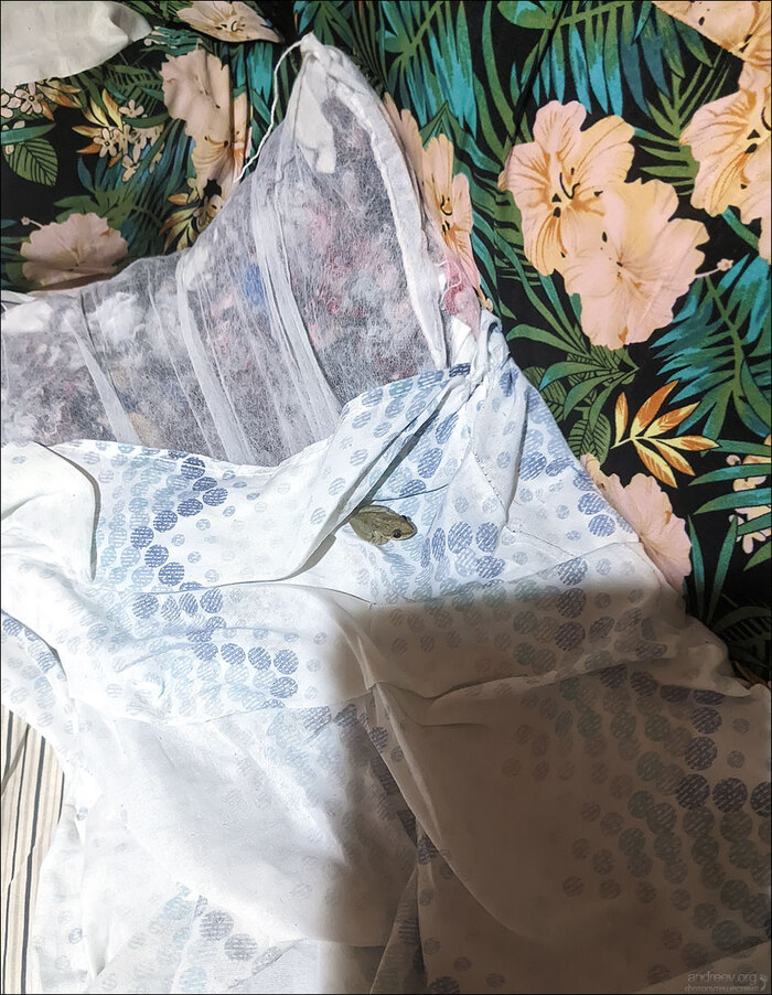 ������� ��������� � �������