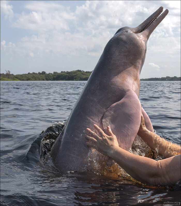 ������, ���������!