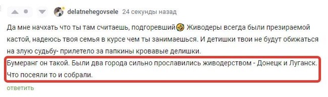 Delatnehegovsele, what did you mean by this? Can you explain? - Stray dogs, Deception, Radical animal protection, Provocation, Lie, Safety, Donetsk, Luhansk, Special operation, Screenshot, Comments on Peekaboo