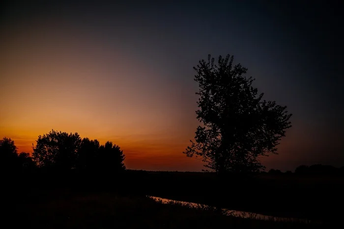 At sunset - My, The photo, Kazakhstan, Nikon, Uralsk, Sunset