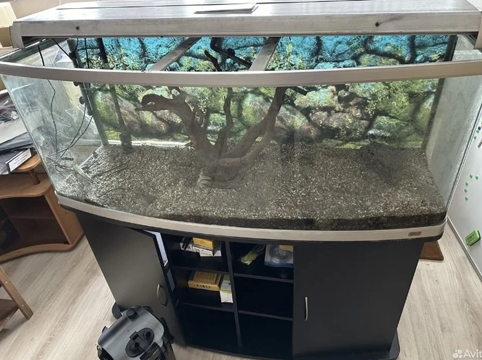 It was and became - Aquarium, Aquarium, Aquascape, Aquarium fish, A rock, Longpost, A fish