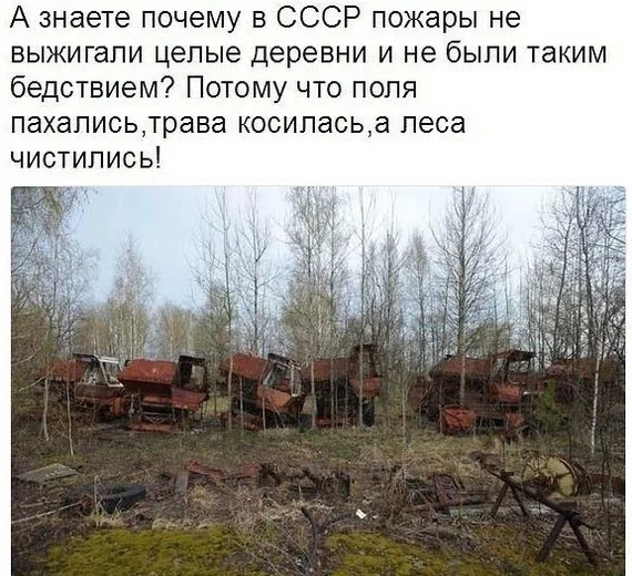 But in the Soviet Union everything was mowed and plowed! It's a shame it's gone - the USSR, Past, Memories, Telegram (link)