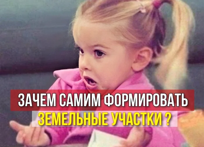 Why form land plots if you can participate in other people’s land auctions? - My, The property, Land plot, Bargaining, Rent, Land law, Competition