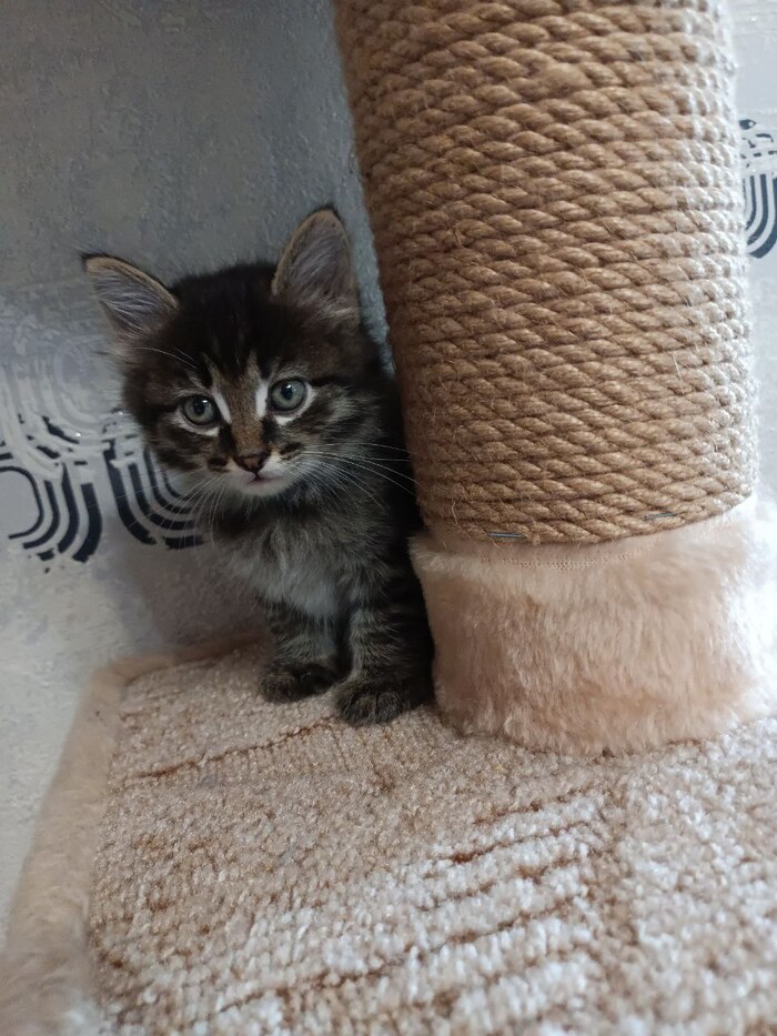 ������ ���� � ����� ����� 