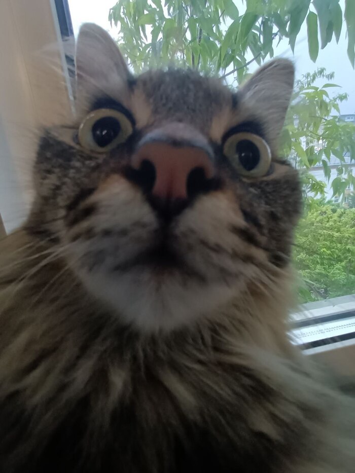 2024. 5 �� ������� � ����������