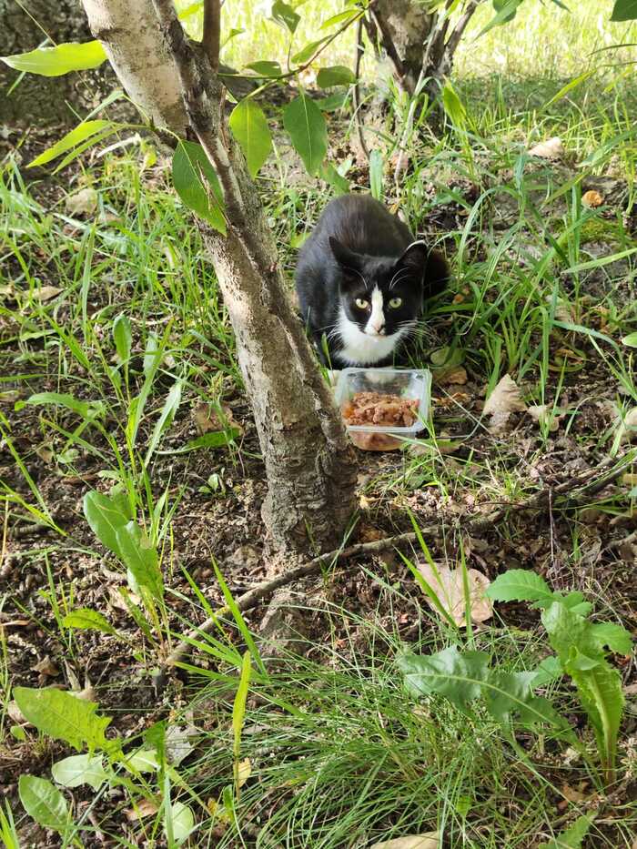 ����� �� ��������� ����, ������ ��� ��������, ����� ����� ������) �������� �� ���������� ��������� ����, �� � ���� �� ������. ������ ���, ����� ������, ����� ��� ������, �� ����� �� ������� ���� �� ����.