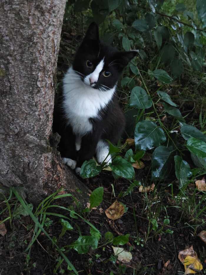 ������� ������ � ������ �� ��������� � ������ �� �������� ������.