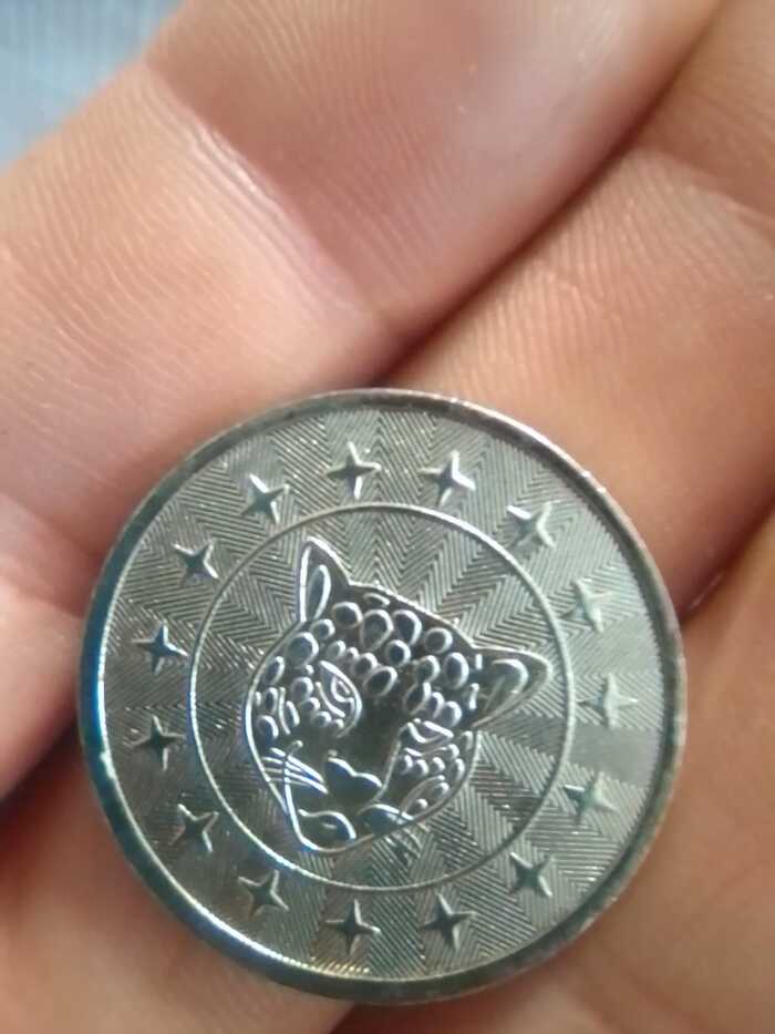 Token - My, Coin, Token, What a coin, Longpost, Need advice, The photo