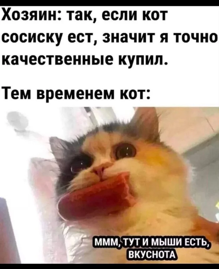 My grandmother always said that - Picture with text, cat, Sausages, Repeat