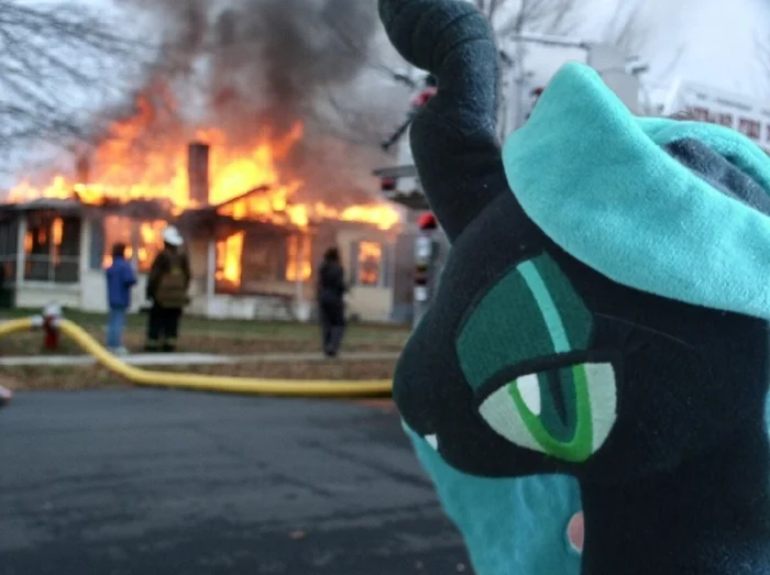 Memes - My, My little pony, Queen chrysalis, Memes, Humor