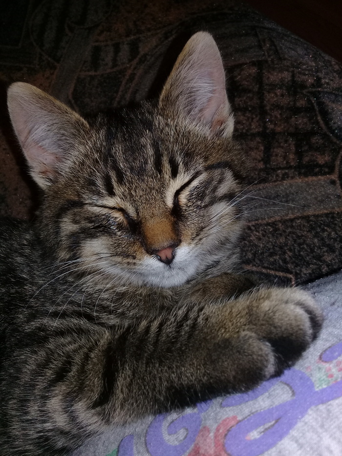 / , -,  , 