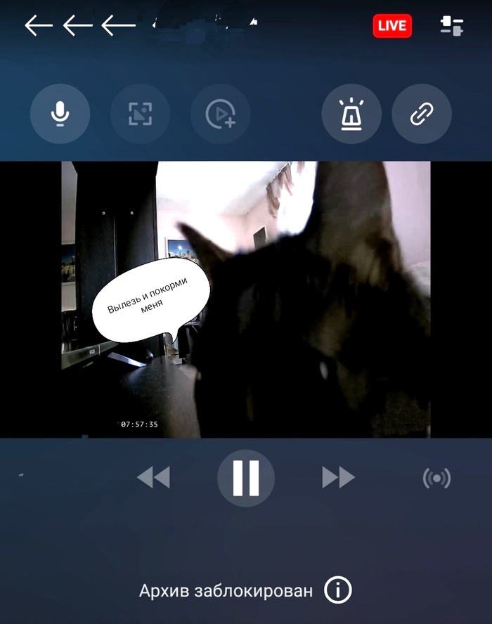   ,   ,   , , 