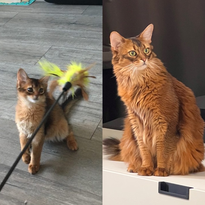 �������. �������, ���������� ��������) 