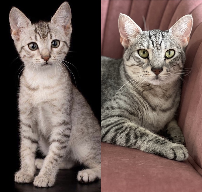 �������. ��������� ��������� � ���� ��������� ���. 