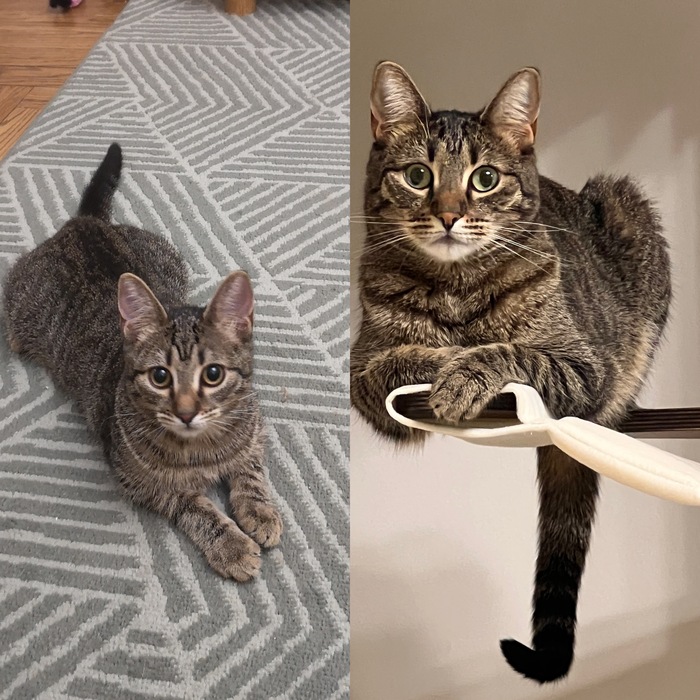 �����������. �����, ������� ����� ��� ���� � ��� ����� ������� �������)