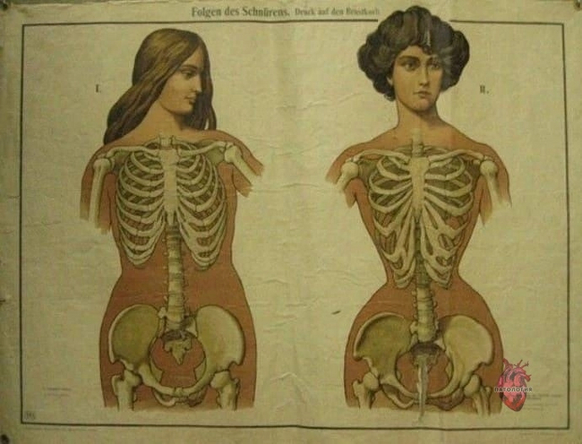      , ,  , , 