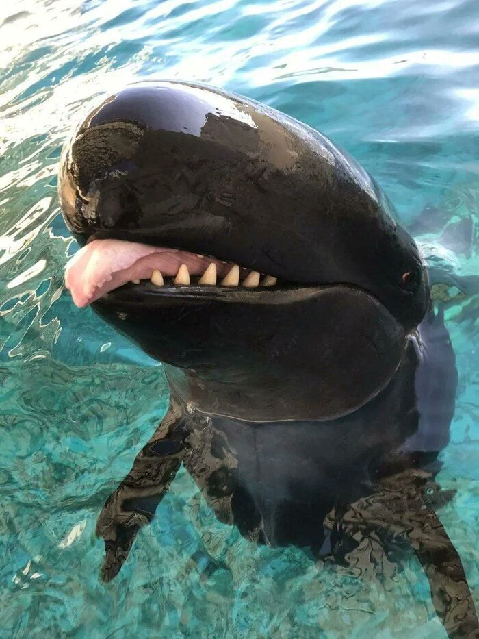        , , , , 