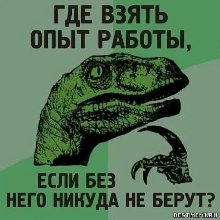 Где взять опыт работы если без него никуда не берут - Работа HR, Поиск работы, Универ, Стажировка, Собеседование, Вакансии, IT, Отдел кадров, Вуз, Выпускники, Карьера, Рынок труда, Трудовые отношения, Профессия