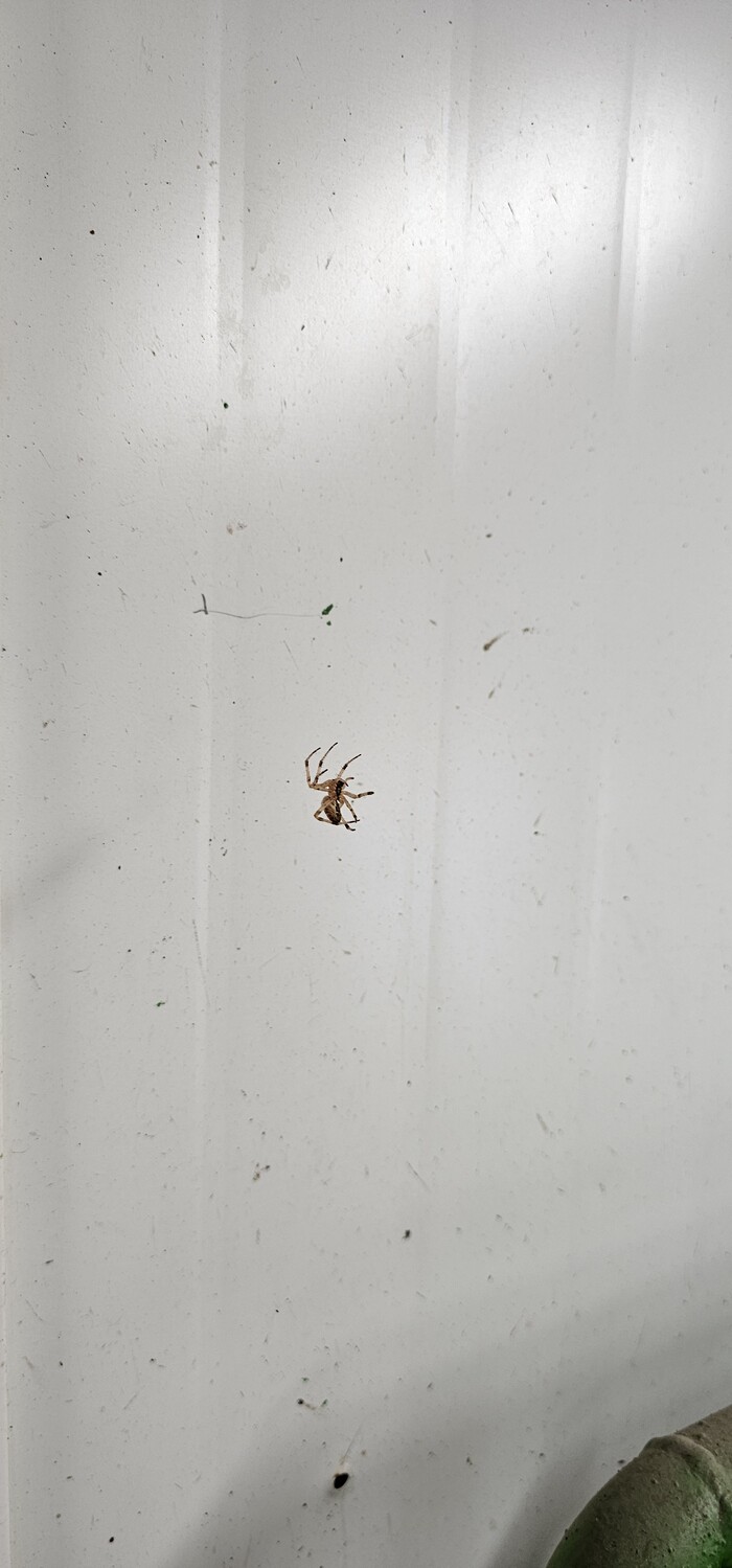 �������� � ������