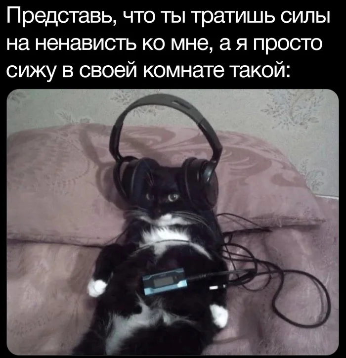 On your own wave - Humor, Picture with text, Memes, cat, Headphones, Telegram (link)