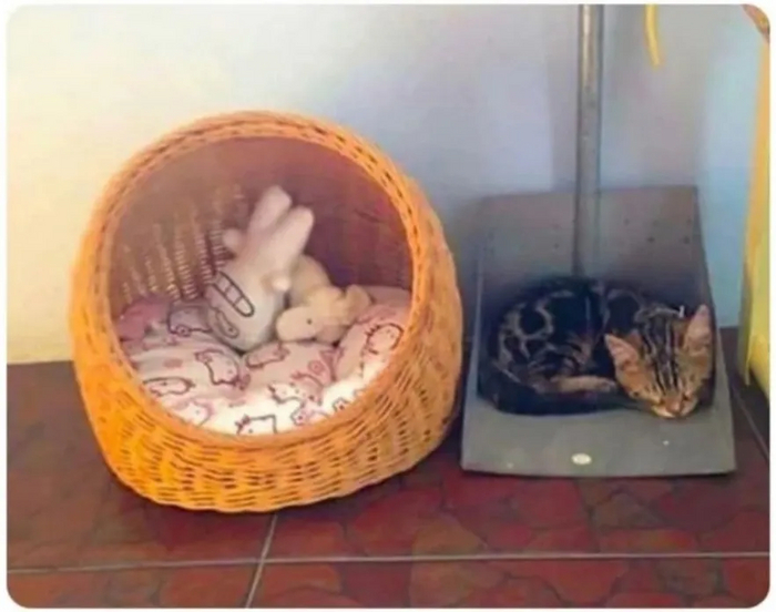 Ответ на пост «Тот сaмый приятель, скучaющий по СССР»