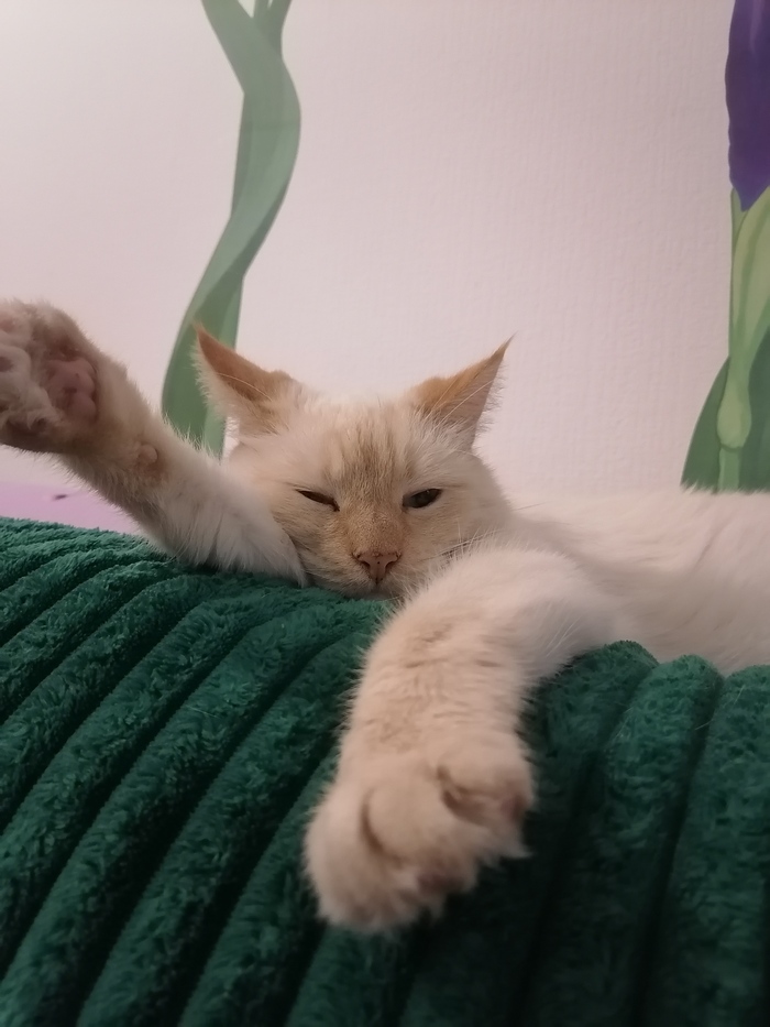 ��������