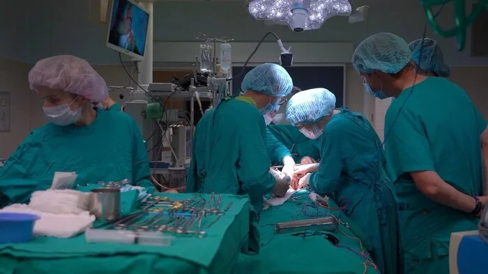 Surgeons at the Botkin Hospital saved a patient with a rare tumor thrombus - The medicine, Doctors, Operation, Surgery, Cancer and oncology, Kidney, Hospital, Moscow