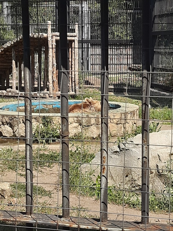 Отпуск. День 2