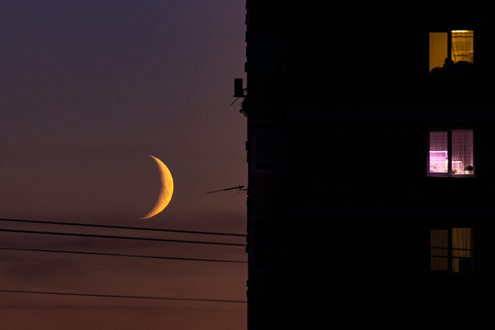 Canon 90D - F/11, 1/30, ISO 800, 250 mm