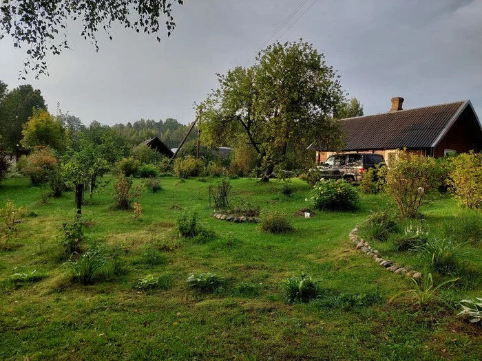 After the thunderstorm - My, Thunderstorm, Village, Garden