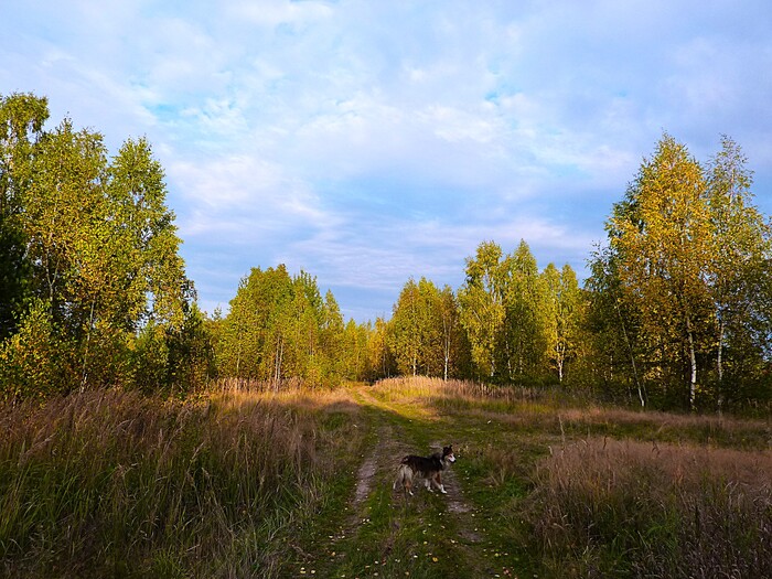 На прогулке