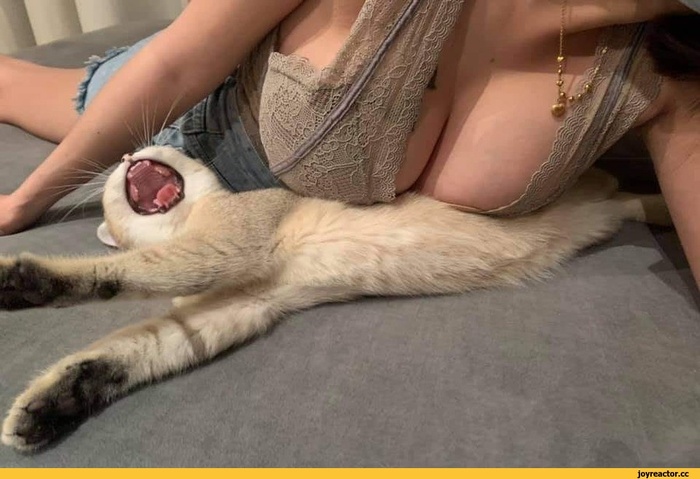 Текст мой, фото честно стырено из интернета 🍅🍅