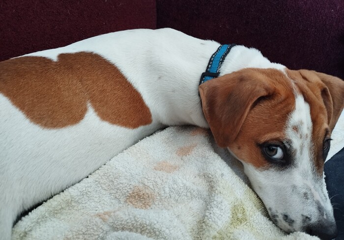 А тут уже взрослый ребёнок )