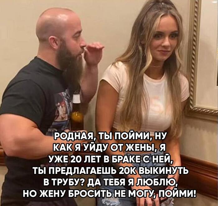  ,       (), , , Telegram (),  , , 
