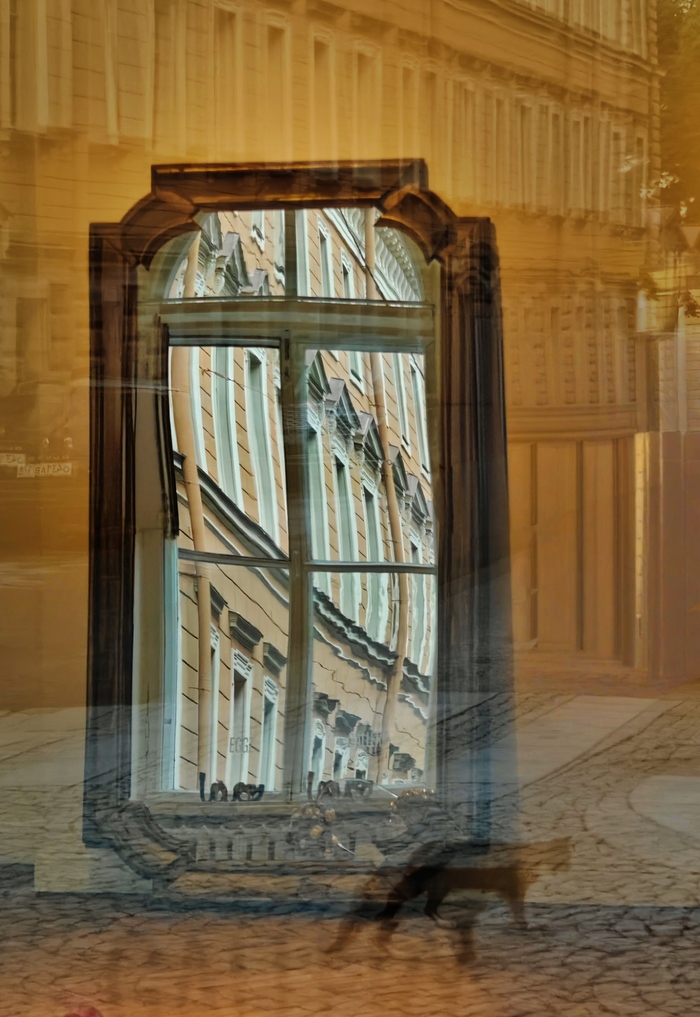 Кошка в Зазеркалье