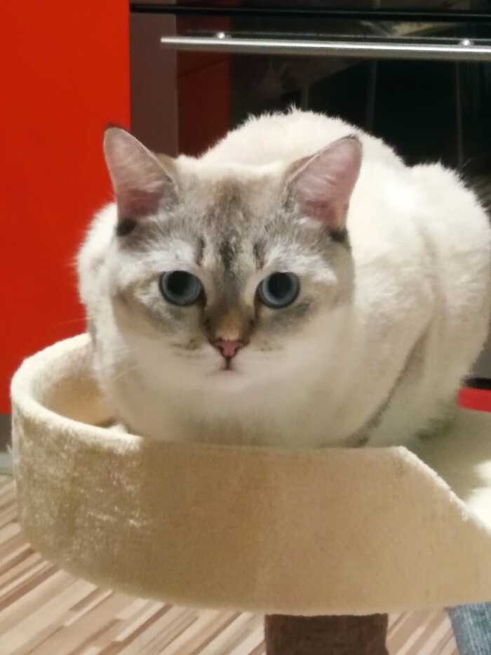       , ,  , 