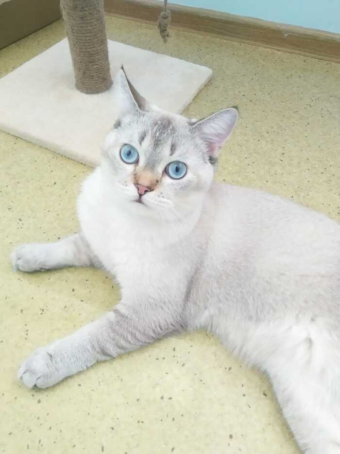  , , 