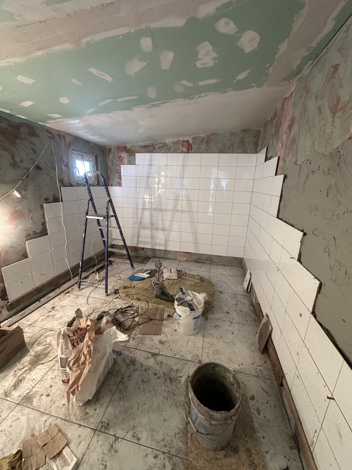 ����� ���������. �������