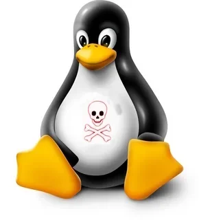 Ровно 33 года назад, 21 августа 1991 года Торвальдс раскрыл карты - Lassary, Linux, Торвальдс, Каминг-Аут, Программирование, Программа