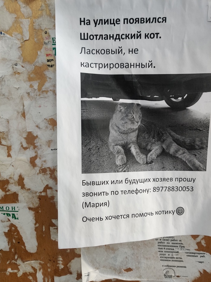      ,  ,  , , ,  , , ,  