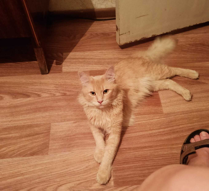 Стало в нашем 2024, большая мордаха выросла.