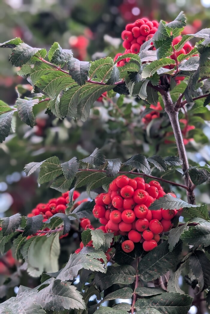 Ближе к осени